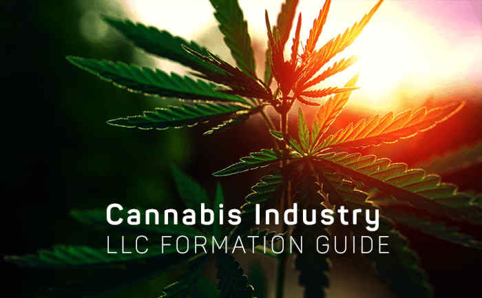Starting-an-LLC-for-Cannabis-Industry