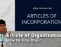 what-is-article-of-organization