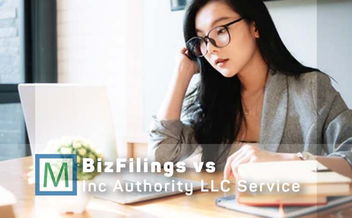 bizfilings-vs-inc-authority