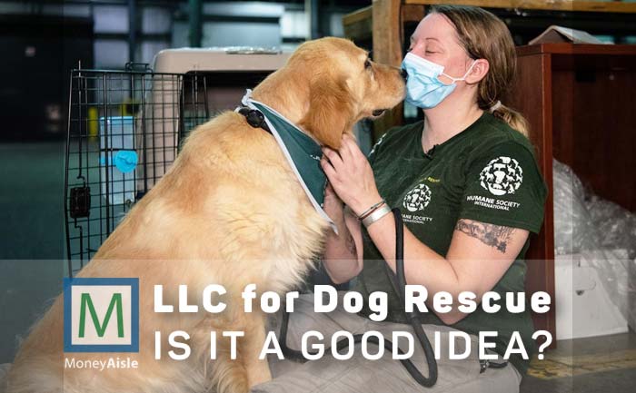 LLC for Dog Rescue Business
