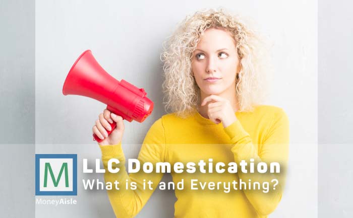 what-is-an-llc-domestication