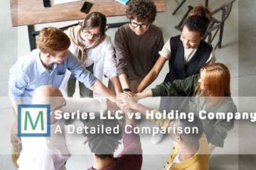 series-llc-vs-holding-company